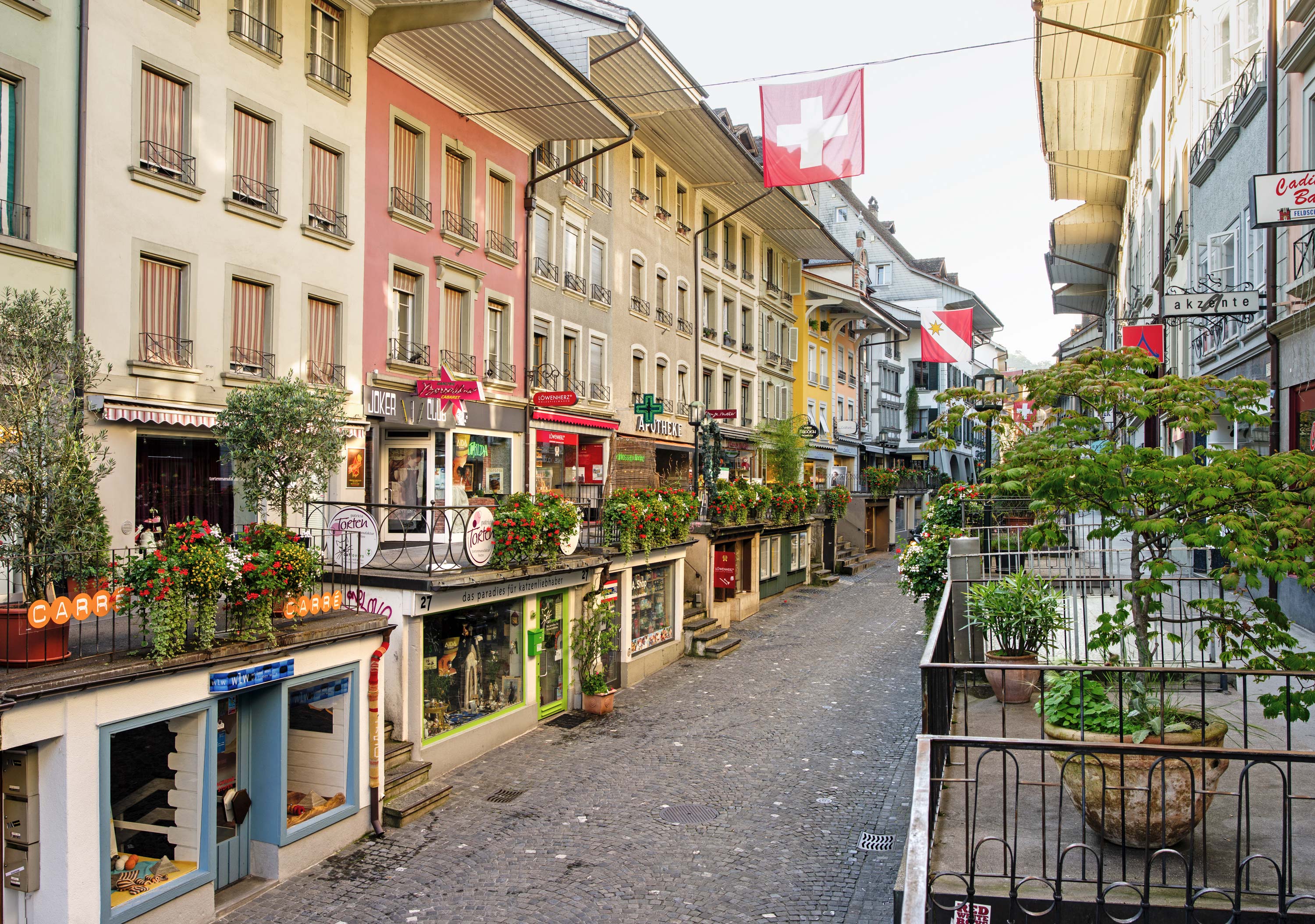 Frutiger_Hoffmatte_Altstadt_web.jpg Frutiger_Hoffmatte_Altstadt_web